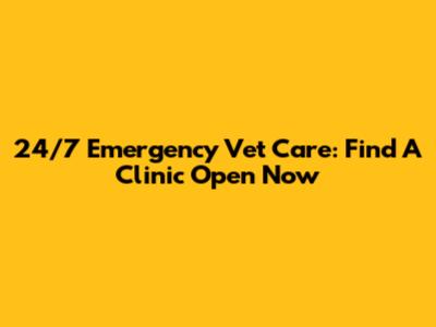 24/7 Emergency Vet Care: Find A Clinic Open Now