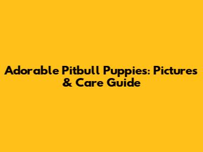 Adorable Pitbull Puppies: Pictures & Care Guide