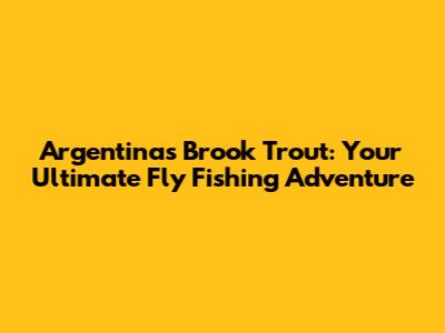 Argentina's Brook Trout: Your Ultimate Fly Fishing Adventure