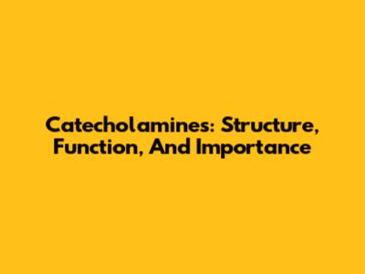 Catecholamines: Structure, Function, And Importance