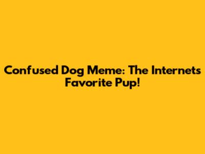 Confused Dog Meme: The Internet's Favorite Pup!