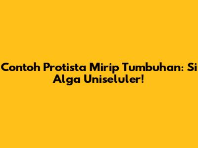 Contoh Protista Mirip Tumbuhan: Si Alga Uniseluler!