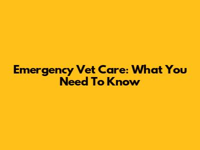 Emergency Vet Care: What You Need To Know