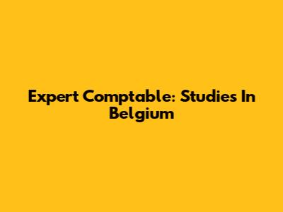 Expert Comptable: Studies In Belgium