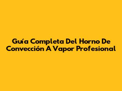 Guía Completa Del Horno De Convección A Vapor Profesional