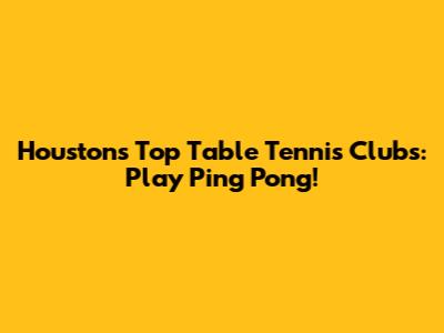 Houston's Top Table Tennis Clubs: Play Ping Pong!