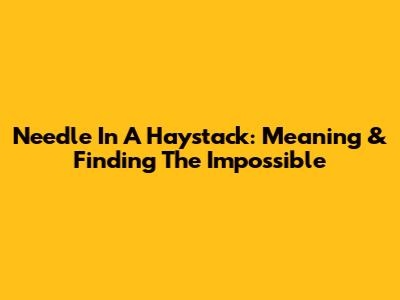 Needle In A Haystack: Meaning & Finding The Impossible