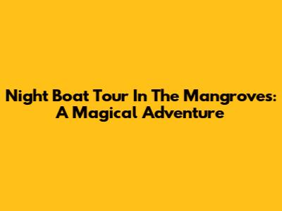 Night Boat Tour In The Mangroves: A Magical Adventure