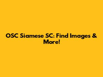 OSC Siamese SC: Find Images & More!