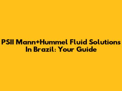 PSII Mann+Hummel Fluid Solutions In Brazil: Your Guide