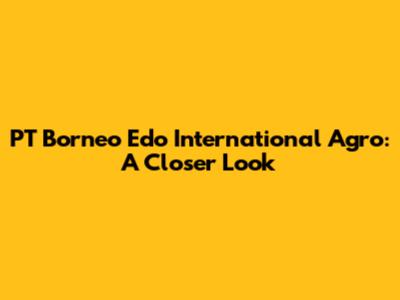 PT Borneo Edo International Agro: A Closer Look