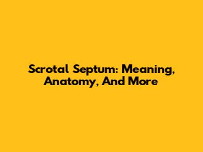 Scrotal Septum: Meaning, Anatomy, And More