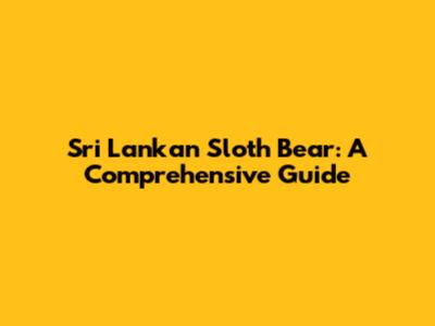 Sri Lankan Sloth Bear: A Comprehensive Guide