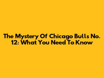 The Mystery Of Chicago Bulls No. 12: What You Need To Know
