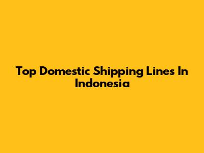 Top Domestic Shipping Lines In Indonesia