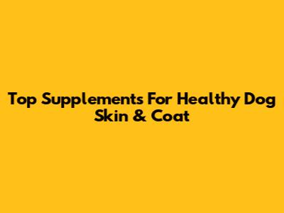 Top Supplements For Healthy Dog Skin & Coat