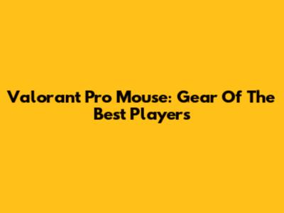 Valorant Pro Mouse: Gear Of The Best Players