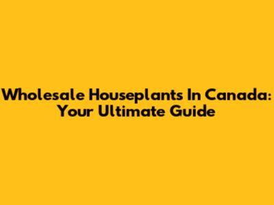 Wholesale Houseplants In Canada: Your Ultimate Guide